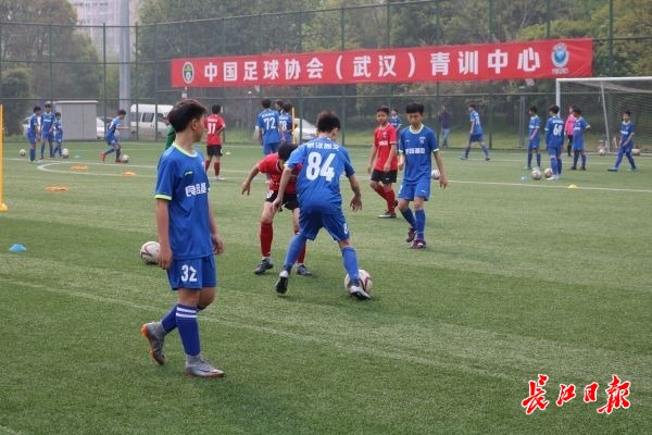 七载用心,三年夺冠!武汉三镇:为足球青训搭建更好的舞台